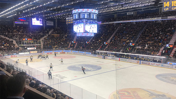 Curve Front Service Screen in Hockey Stadium